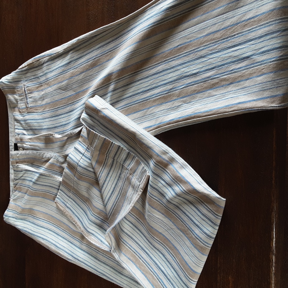 Express Tan and Blue Pant with Tailored Fit